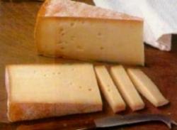 Fontina